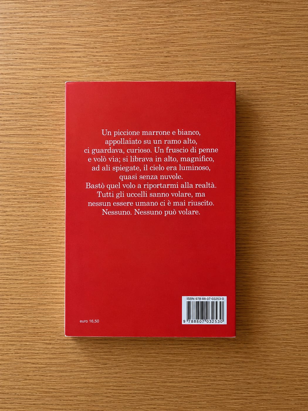 Nessuno può volare 3