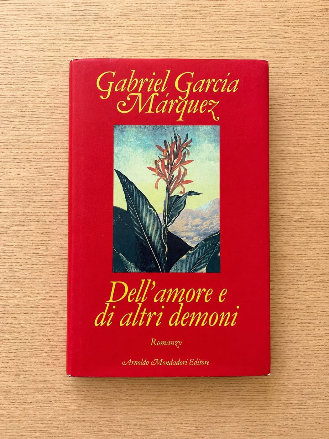 Dell'amore e altri demoni