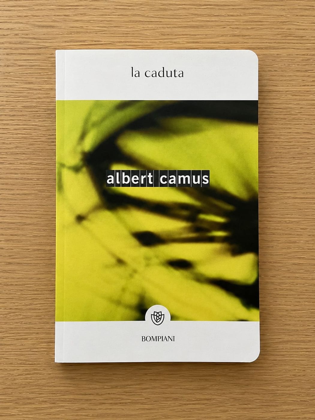 La caduta