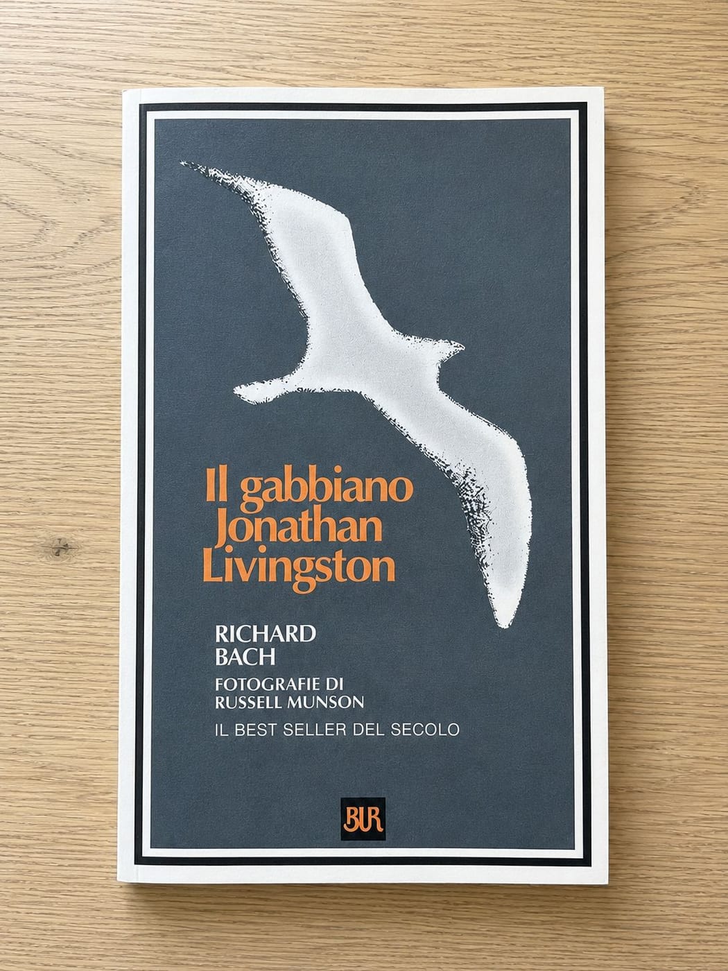 Il gabbiano Jonathan Livingstone